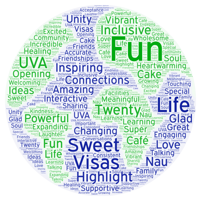 VISAS Word Cloud